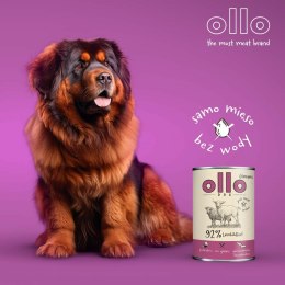 Ollo Umami Jagniecina i Wołowina 850g