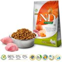 FARMINA N&D Pumpkin Boar & Apple Adult Mini - sucha karma dla psa - 2,5kg