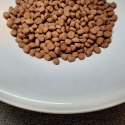 PUPIL Prime Mini bogata w wołowinę wątróbką 1,4 kg