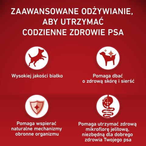 PURINA ONE MED/MAX Adult Dog Lamb & Rice 2,5kg