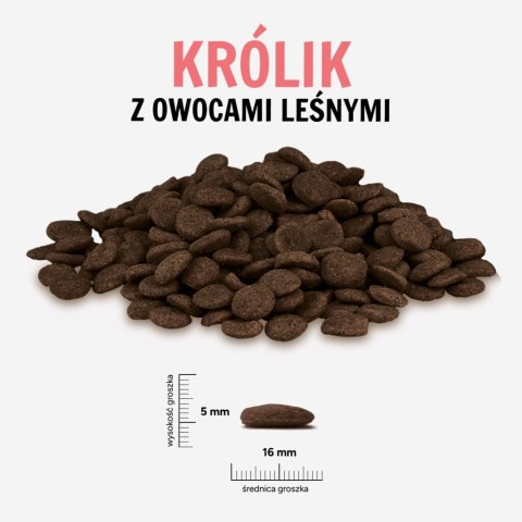 Paka Zwierzaka Królik z owocami leśnymi „L" 9kg