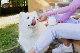 VIRBAC MOVOFLEX miękkie korokiety na stawy dla psa L