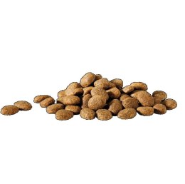 Versele Laga HappyLife Essential sucha karma z kurczakiem dla psów dorosłych 20kg
