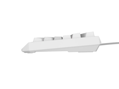 GENESIS Thor 230 TKL klawiatura USB + RF QWERTY