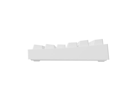 GENESIS Thor 404 TKL klawiatura Gaming USB QWERTY Amerykański międzynarodowy Biały