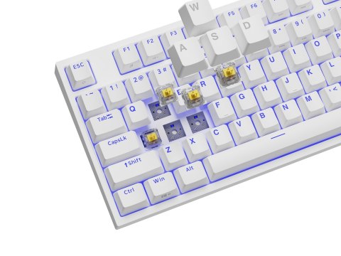 GENESIS Thor 404 TKL klawiatura Gaming USB QWERTY Amerykański międzynarodowy Biały
