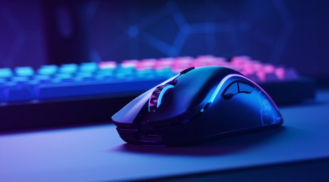 Glorious PC Gaming Race GLO-MS-DW-MB myszka Po prawej stronie RF Wireless 19000 DPI