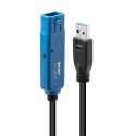Lindy 43157 kabel USB USB 3.2 Gen 1 (3.1 Gen 1) 10 m USB A Czarny