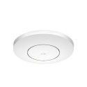 Access Point CUDY AP3600