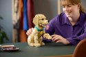 LEGO 11384 Icons - Szczeniak golden retriever