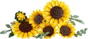 LEGO Botanical Collection 11502 - Bukiet słoneczników