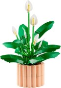 LEGO Botanical Collection 11504 - Skrzydłokwiat