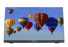 Monitor 55cm/21,5