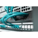 Digitus Digitus | Panel zarządzania szczotkami kablowymi 1U otwarty | DN-97661 | Czarny | Panel zarządzania szczotkami kablowymi jest mo