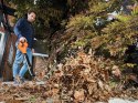 Dmuchawa ogrodowa Li-Ion 18V/2,0Ah BLACK+DECKER