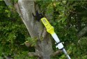 Sekator na wysięgniku akumulatorowy 18V ONE+ RY18PLA-0 RYOBI