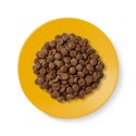 Applaws Cat Dry Senior Chicken 2kg
