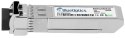 BlueOptics 407-BBOU-BO moduł przekaźników sieciowych Swiatłowód 10000 Mbit/s SFP+ 850 nm