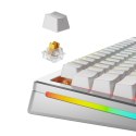 Glorious Gaming GLO-KB-ACC-SWT-PANDA-HE-36 bez kategorii