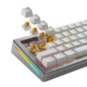 Glorious Gaming GLO-KB-ACC-SWT-PANDA-HE-36 bez kategorii