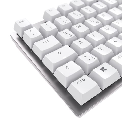 CHERRY KC 200 MX klawiatura Uniwersalne USB QWERTZ Niemiecki Srebrny, Biały