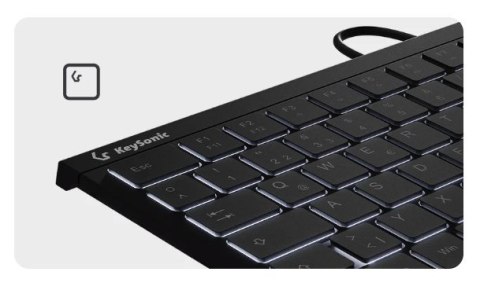 KeySonic KSK-5011ELC (DE) klawiatura Dom USB QWERTZ Niemiecki Czarny