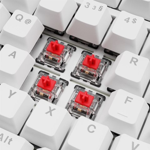 Sharkoon Gaming Tastatur Skiller SGK25 DE