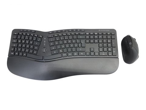 Conceptronic Orazio Ergo Wireless myszka
