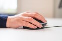 Bezprzewodowa sprzedaż detaliczna myszy BakkerElkhuizen Oyster Mouse