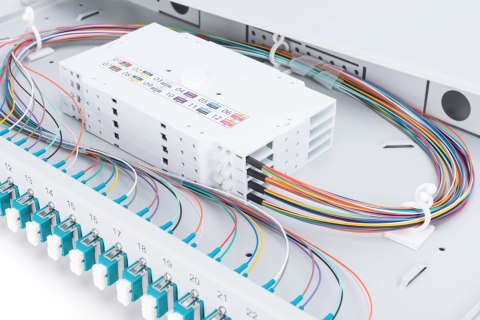 Digitus Panel światłowodowy, z wyposażeniem, LC, OM3