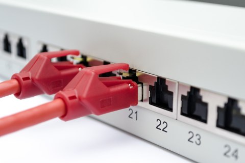 Digitus Panel krosowy (patch panel) 19'' 24x RJ45, LSA poziom, kat.6A, ekranowany, 1U, szary, prowadnica kabli