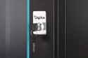 Digitus Obudowa naścienna z serii Dynamic-N - 600x600 mm (WxD), niezamontowana