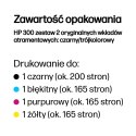 HP 300 zestaw 2 oryginalnych wkładów atramentowych: czarny/trójkolorowy