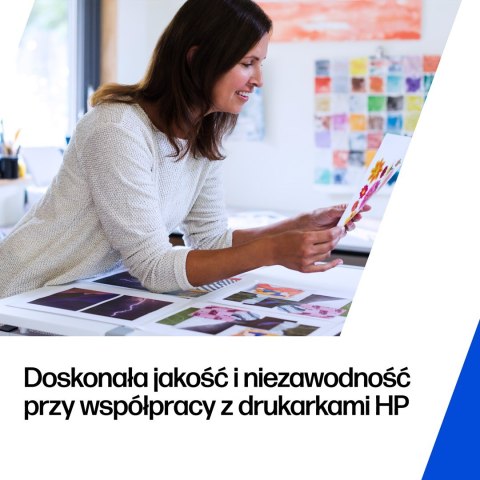 HP 300 zestaw 2 oryginalnych wkładów atramentowych: czarny/trójkolorowy