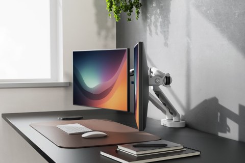 Digitus Podwójne mocowanie monitora, 2x 35", 2x 10 kg