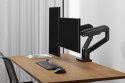 Digitus Podwójne mocowanie monitora, 2x 45", 2x 20 kg