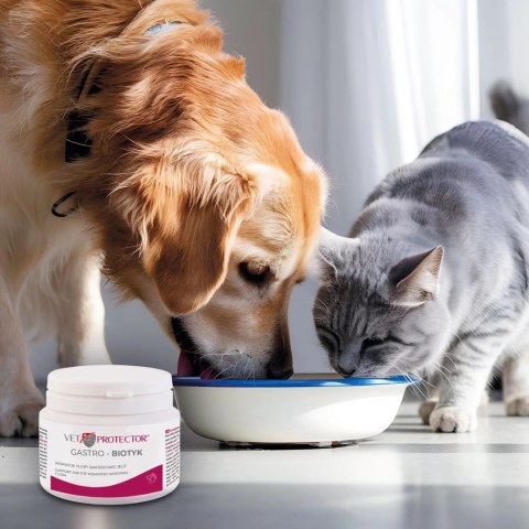 JM SANTE VET PROTECTOR GASTRO BIOTYK biegunka wzdęcia zaparcia alergie pokarmowe 60g