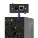 Qoltec 53042 zasilacz UPS Podwójnej konwersji (online) 1 kVA 800 W 2 x gniazdo sieciowe