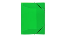 ND39_520452 TECZKA Z GUMKA PP A4 NEON ZIE B-FOL FOL BIURFOL