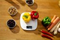 Waga kuchenna z misą 5kg ZKS1451 Zelmer ivory