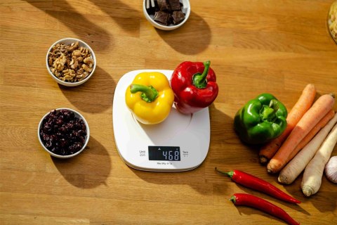 Waga kuchenna z misą 5kg ZKS1451 Zelmer ivory