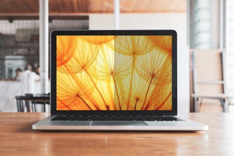 Filtr prywatyzujący Bright Screen 3M
