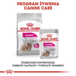 ROYAL CANIN CCN MINI EXIGENT - sucha karma dla psa - 3 kg