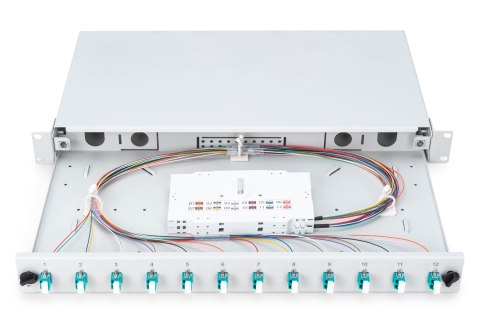 Panel krosowy FO z wyposażeniem 19'' 1U, 12x LC dx, OM3, pigtaile, adaptery, tacki, wysuwany, szary