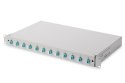 Panel krosowy FO z wyposażeniem 19'' 1U, 12x LC dx, OM3, pigtaile, adaptery, tacki, wysuwany, szary