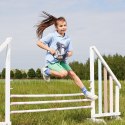 Koń na kiju hobby horse hoppihorse a4 szary, maść siwa