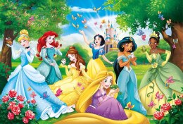 CLE puzzle 60 maxi Super Kolor Princess 26471 Prince
