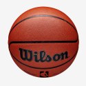 Wilson NBA Authentic Wewnętrz i na wolnym powietrzu Brązowy