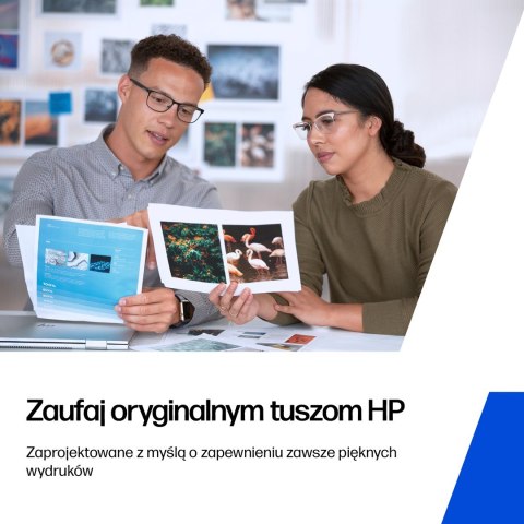 Tusz HP 308 6L6S6UE 2-pak Czarny/Kolor