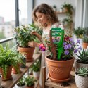 BOPON - Eliksir DUO Uniwersalny 35ml - disp - 1 szt.